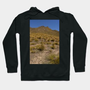 Barren Lindis Pass Hoodie